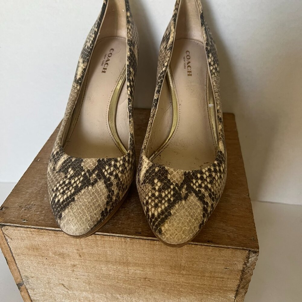 Women`s Heels